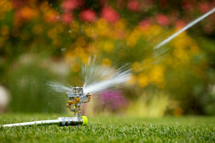 quali irrigatori scegliere quali irrigatori scegliere